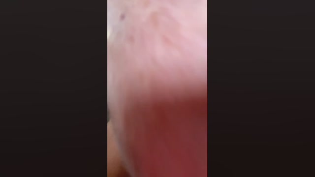 ikarussexy  14-03-2023